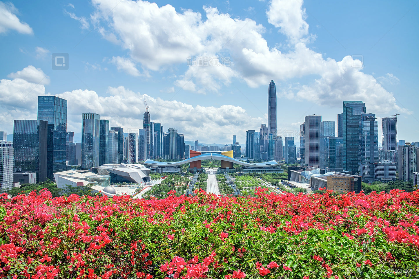 ✨ Shenzhen Skyline Kunstspaziergang | Perfekte Begegnung von Stadt und Kunst ✨