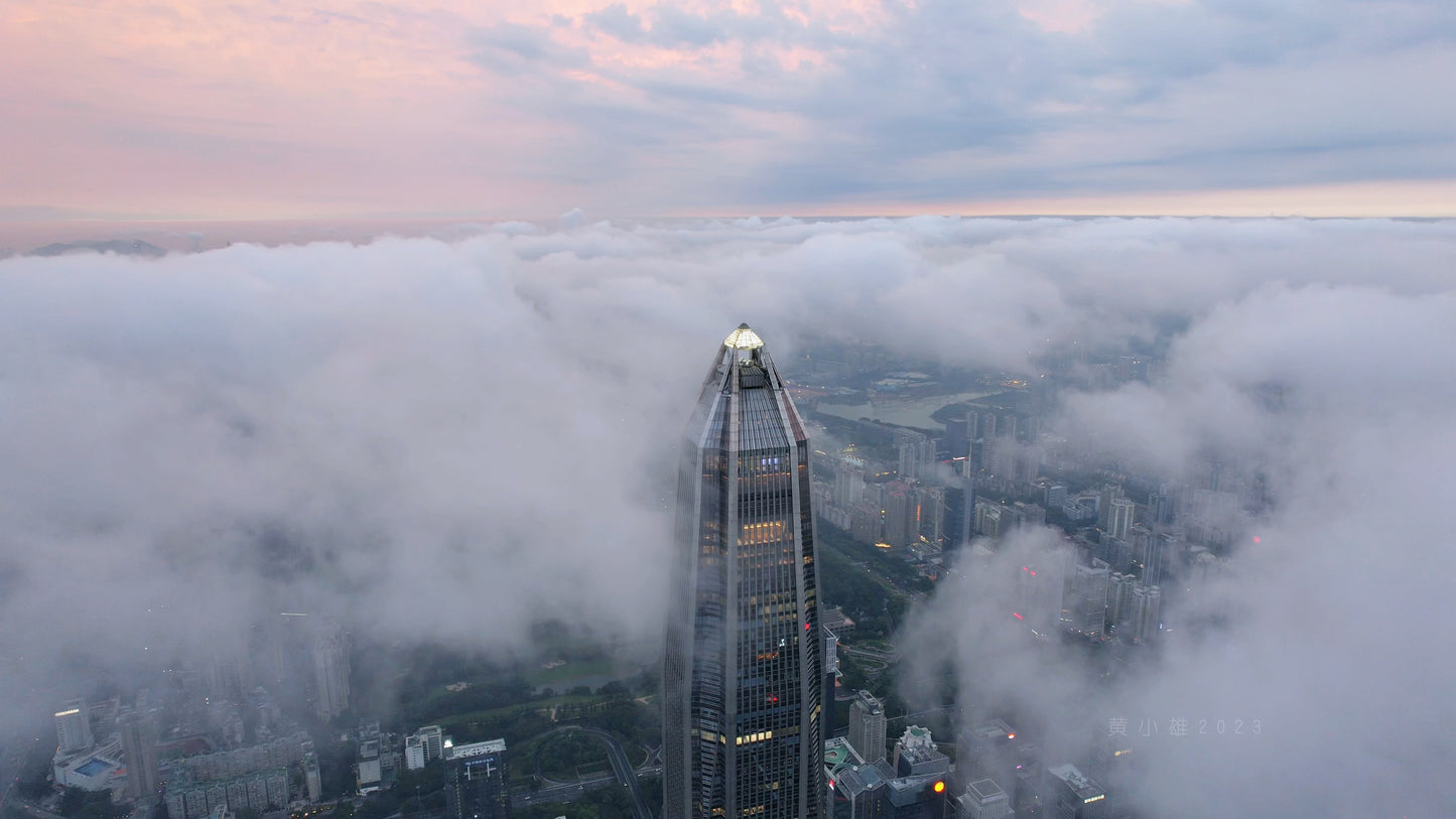 ✨ Shenzhen Skyline Kunstspaziergang | Perfekte Begegnung von Stadt und Kunst ✨