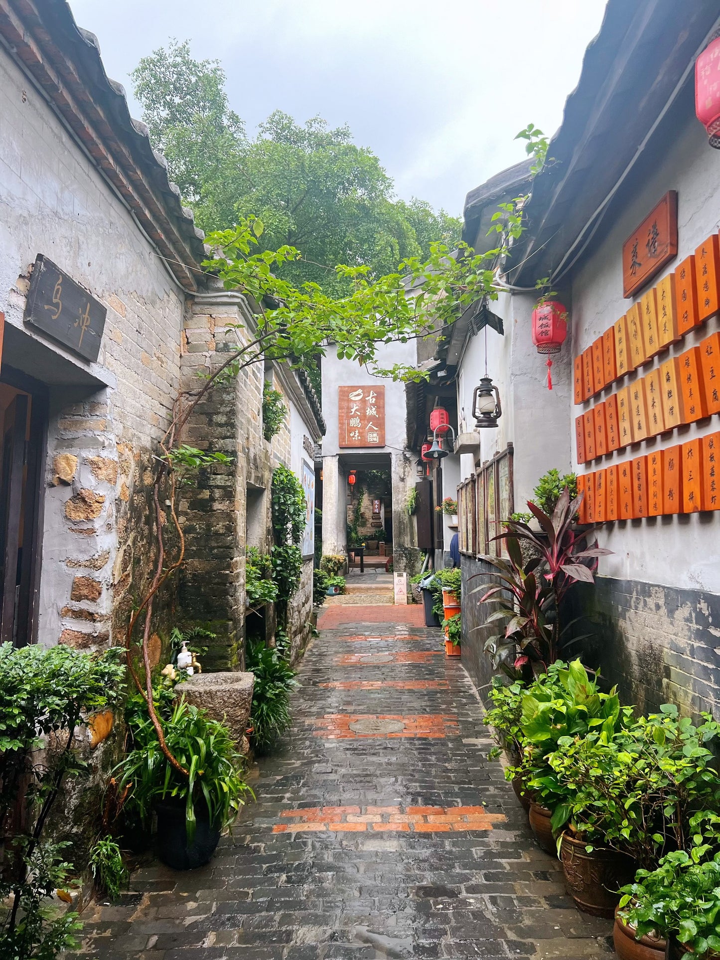 ✨ Muss man in Ost-Shenzhen gesehen haben! Historische Altstadt und atemberaubende Berg- und Meereslandschaft ✨