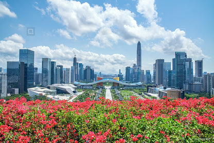 ✨ Shenzhen Skyline Kunstspaziergang | Perfekte Begegnung von Stadt und Kunst ✨