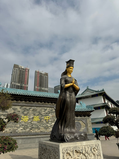 ✨ Shenzhen Citywalk: Kultur und Technologie erleben ✨